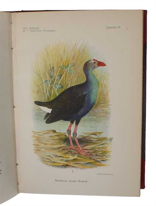 Les Oiseaux de l'Indochine Francaise. 4 vols. Exposition Coloniale Internationale.