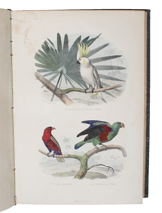 Oeuvres Complétes de Buffon, avec des Extraits de Daubenton et la Classification de Cuvier. 6 vols. + Plates. (Vol. 1-2: Materies Generales,Theorie de la Terre, Mineraux - vol. 3-4: Mammafieres. - vol. 5-6: Oiseaux).