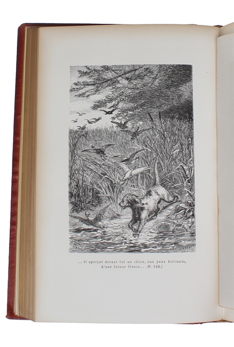 Contes Danois. + Nouveau Contes Danois. Traduits pour la premiere fois par MM. Ernest Grégoire & Louis Moland. Illustrés d'apres les dessins de M. Yan' Dargent.