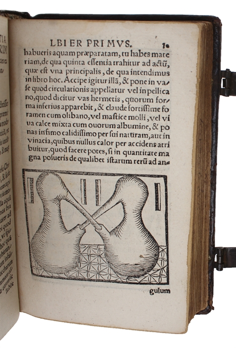 De secretis naturae sive Quinta essentia libri duo. His accesserunt Alberti Magni Summi philosophi, De mineralibus & rebus metallicis Libri quninque. Quae omnia solerti cura repurgata rerum naturae studiosis recens publicata sunt per M. Gualtherum H. ...