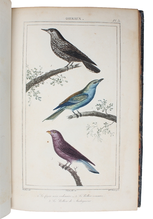 Oeuvres complétes de Buffon mises en Ordre et précédées d'une notice historiques par M.A. Richard suivies de deux Volumes sur les Progrès des Sciences physique et naturelles depuis la Mort de Buffon par M. le Baron Cuvier. 32 vols. (+) 2 vols of plate...