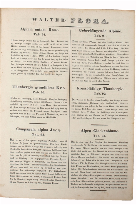 (Flora eller colorerede Afbildninger af Pragt-Blomster, med dansk og tysk Beskrivelse. - Flora oder colorirte Abbildungen von Pracht=Blumen mit deutschen und dänischen Texte).