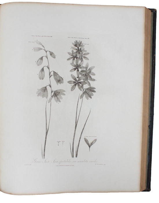 New Illustration of the Sexual System of Carolus Von Linnaeus: Comprehending an Elucidation of the Several Parts of the Fructification; A Prize Dissertation of the Sexes of the Plants; A full Explanation of the Classes, and Orders of the Sexual System...