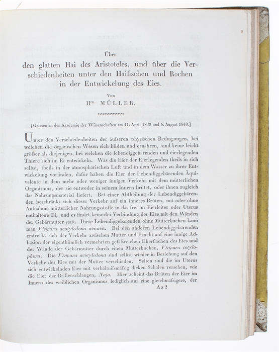 Über den glatten Hai des Aristoteles, und über die Verschiedenheiten unter den Haifischen un Rochen in der Entwickelung des Eies. [In: Abhandlungen der Königlichen Akademie der Wissenschaften zu Berlin. Aus dem Jahr 1840].