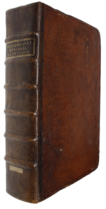 De historia plantarum libri decem. Graecè & Latinè. Textum Graecum variis Lectionibus, emendationibus, hiulcorum supplementis: Latinam Gazae versionem nova  interpretatione ad margines: totum Opus absolutissimis cum Notis, tum Commentariis: item rario...