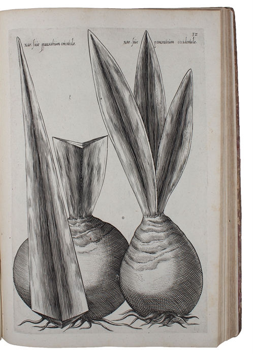 Florilegium amplissimum et selectissimum ; quo non tantum varia diversorum florum praestantissimorum et nunquam antea exhibitorum genera, sed et rarae quamplurimae indicarum plantarum, et radicium formae, ad vivum partibus duabus, quatuor etiam lingui...