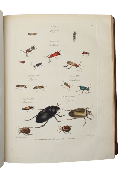 The Genera Insectorum of Linnaeus exemplified by various Specimens of English Insects drawn from Nature (engraved title) - Les Genres des Insectes de Linné; constatés par divers Échantillons D'Insectes D'Angleterre, copiés d'apres Nature (printed t...