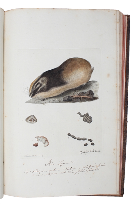 Zoologia Danica seu Animalium Daniae et Norvegiae rariorum ac minus notorum Descriptiones et Historia. Volumen I-IV. (Auctore O.F. Müller. - Vol. III: P.C. Abildgaard - IV: P.C. Abildgaard, M. Vahl, J.S. Holten, J. Rathke).