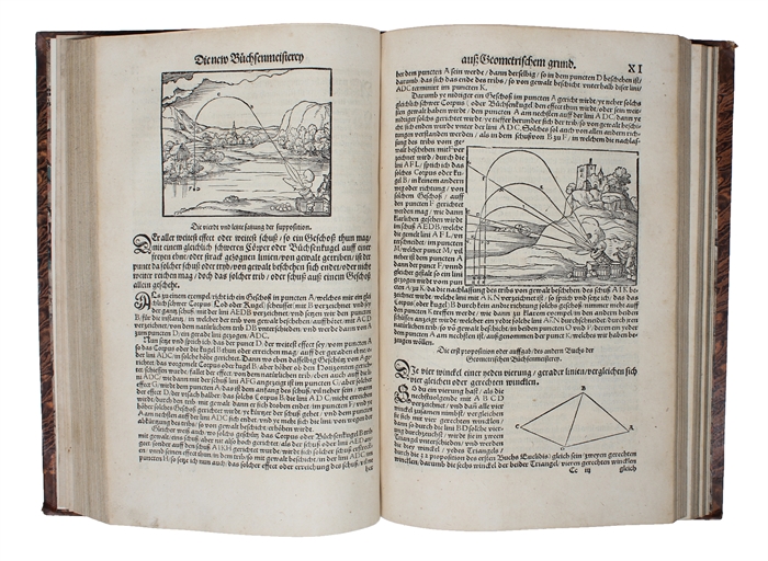 Der Architectur furnembsten, notwendigsten, angehörigen Mathematischen und Mechanischen künst, eygentlicher bericht, und verstendliche unterrichtung, zu rechtem verstandt der lehz Vitruvii, in drey fürneme Bücher abgetheilet. Als Der newen Perspectiua...