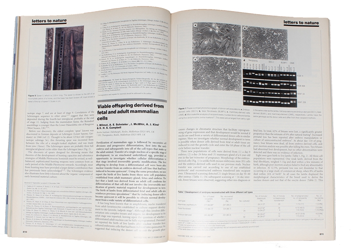 Viable offspring derived from fetal and adult mammalian cells. [In: Nature. Vol 385, no. 6619, 27 February, 1997]. 