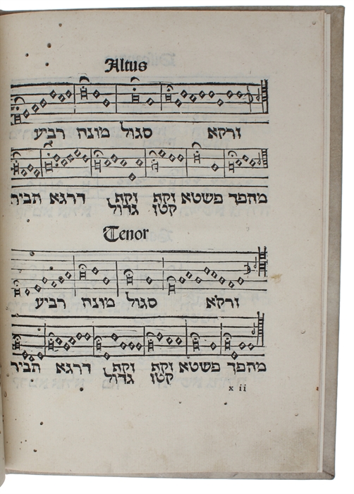 De Accentibus et Orthographia, Linguae Hebraicae [i.e.“Accents and Spelling of the Hebrew Language”].