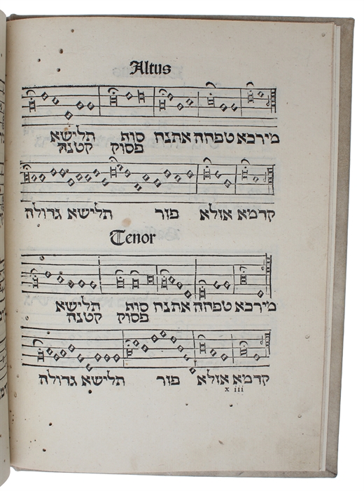 De Accentibus et Orthographia, Linguae Hebraicae [i.e.“Accents and Spelling of the Hebrew Language”].