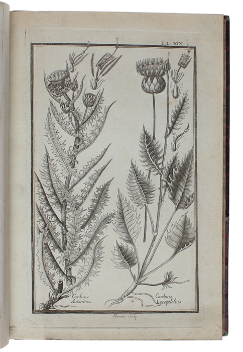 Histoire des plantes de Dauphine. 4 vols.