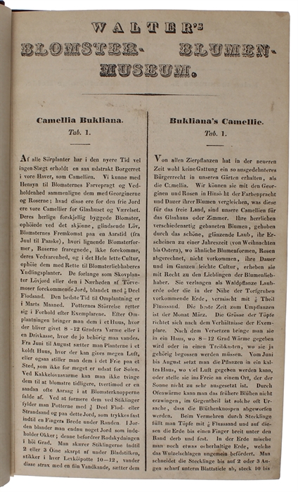 (Blomster-Museum eller colorerede Afbildninger af de skjönneste Blomster og Siirplanter, med tydsk og dansk Beskrivelse. Udgivet af Joh. Ernst Christ. Walter, - Blumen-Museum oder colorirte Abbildungen der schönsten Blumen und Zierpflanzen, mit deutsc...
