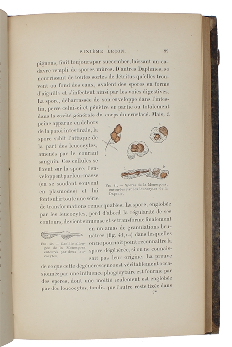 Leçons sur la pathologie comparée de l'inflammation faites à l'Institut Pasteur en Avril et Mai 1891-