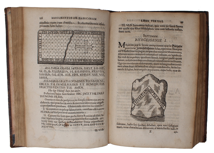 Danicorum Monumentorum Libri Sex: E spissis antiquitatum tenebris et in Dania ac Norvegia extantibus ruderibus eruti + Regum Daniae Series duplex et Limitum inter Daniam & Sveciam Descriptio. Ex vetustissimo Legum Scanicarum Literis Runicis in membran...