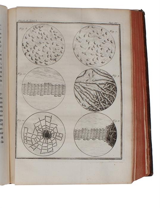 Histoire Naturelle, Générale et Particulière, avec la description du Cabinet du Roy (15 vols.) (+) Supplément à l'Histoire naturelle (6 vols) (+) Histoire naturelle des Oiseaux (9 vols) (+) Quadrupedes Ovipares et des Serpens (2 vols). 32 vols.