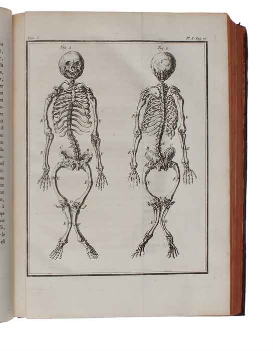 Histoire Naturelle, Générale et Particulière, avec la description du Cabinet du Roy (15 vols.) (+) Supplément à l'Histoire naturelle (6 vols) (+) Histoire naturelle des Oiseaux (9 vols) (+) Quadrupedes Ovipares et des Serpens (2 vols). 32 vols.