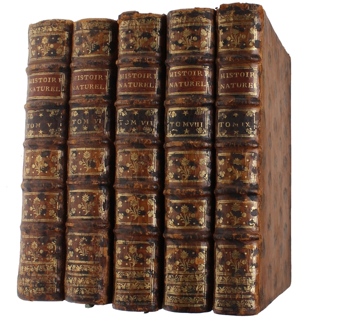 Histoire Naturelle, Générale et Particulière, avec la description du Cabinet du Roy (15 vols.) (+) Supplément à l'Histoire naturelle (6 vols) (+) Histoire naturelle des Oiseaux (9 vols) (+) Quadrupedes Ovipares et des Serpens (2 vols). 32 vols.