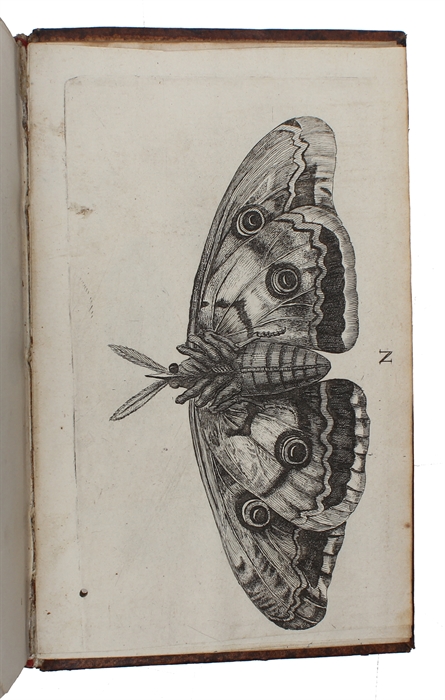 Metamorphoses naturelles ou Histoire des insectes observée très-exactement suivant leur nature & leurs proprietez. 3 vols. 