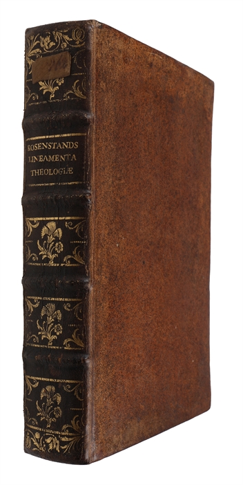 Lineamenta theologiæ exegetico-homileticæ in usum auditorum ducta.